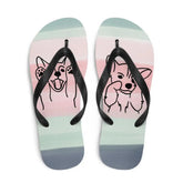 Flip-Flops