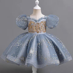 Girls Sequin Short Sleeve Lace Party Dresses