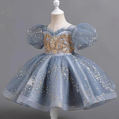 Girls Sequin Short Sleeve Lace Party Dresses