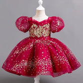 Girls Sequin Short Sleeve Lace Party Dresses