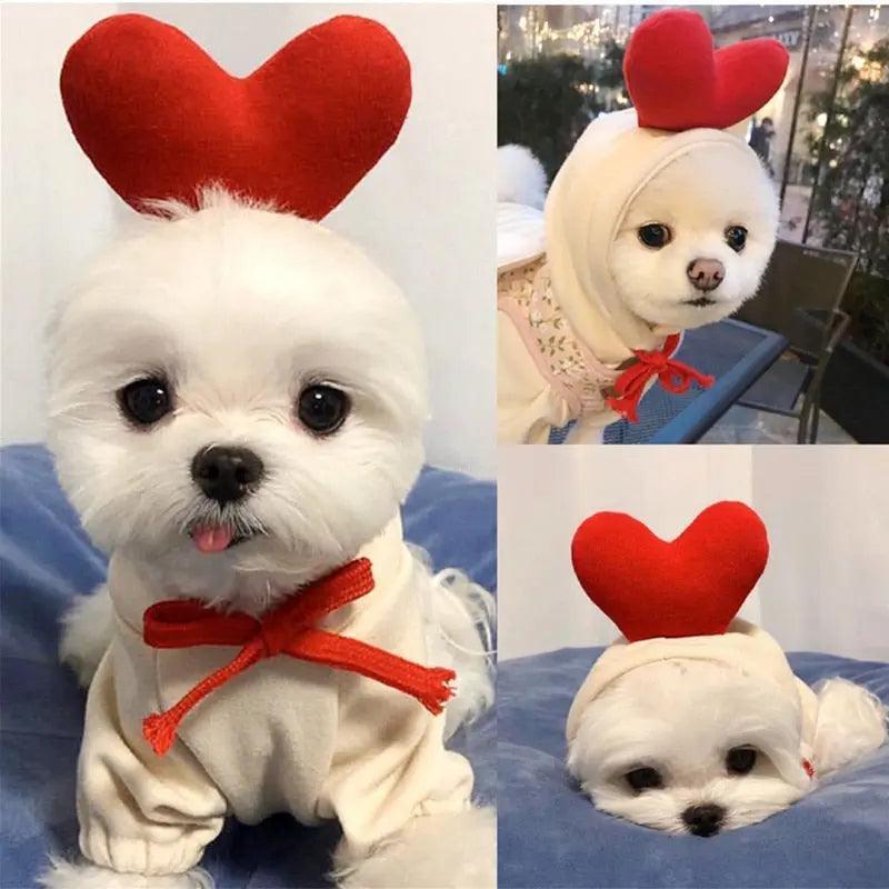 Cute Fruit Dog Clothes for Small Dogs hoodies