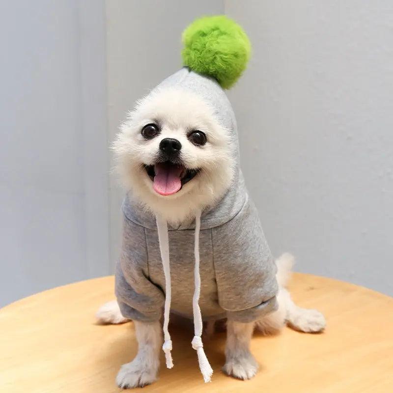 Cute Fruit Dog Clothes for Small Dogs hoodies