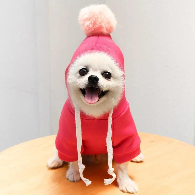 Cute Fruit Dog Clothes for Small Dogs hoodies