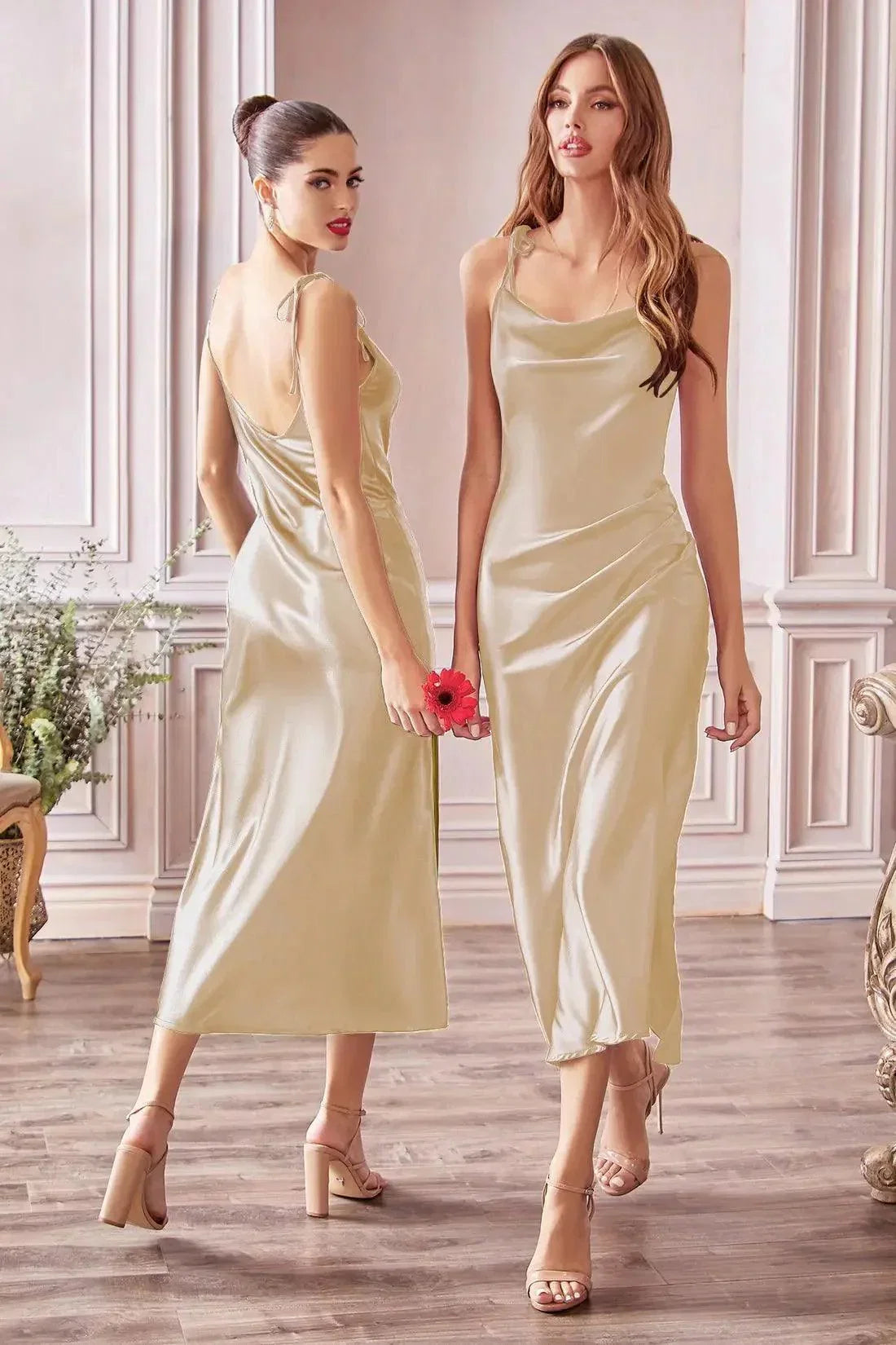 Elegant Backless Bridesmaid Dresses for Women