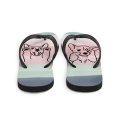 Flip-Flops