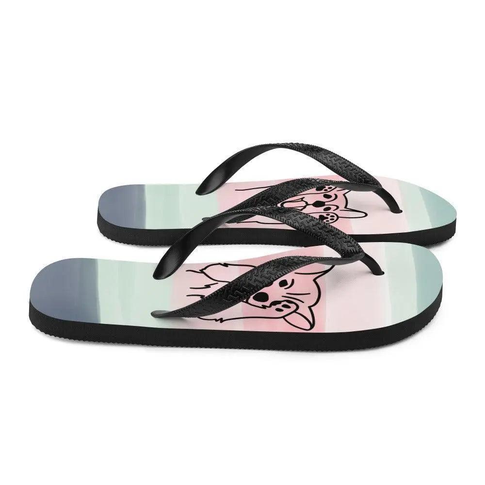Flip-Flops