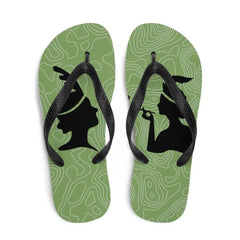 Flip-Flops