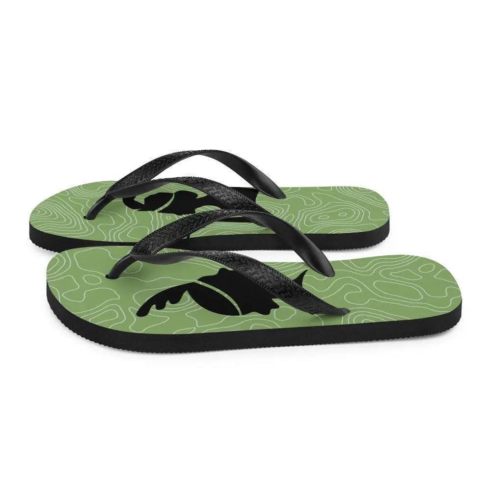 Flip-Flops