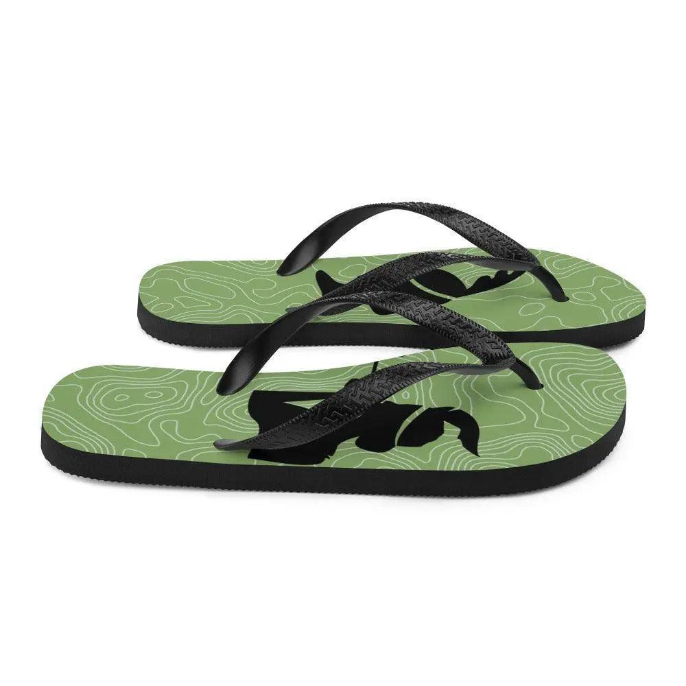 Flip-Flops