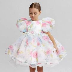 Flower Pageant Vestidos Girls Princess Dress