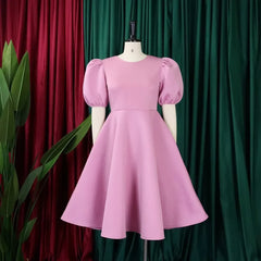 Elegant O Neck Short Sleeve High Waisted Pleated Dress