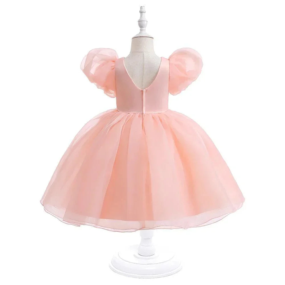 Flower Pageant Vestidos Girls Princess Dress